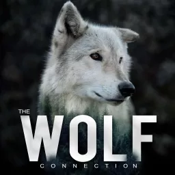 The Wolf Connection Podcast artwork