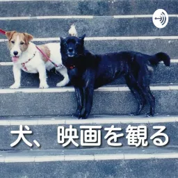 犬、映画を観る