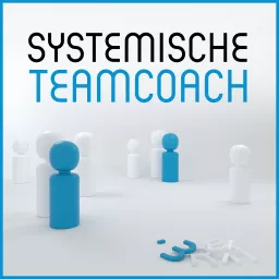 Systemische Teamcoach