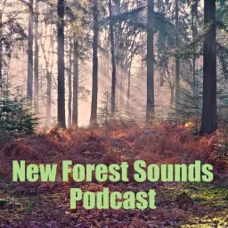 New Forest Sounds Podcast artwork