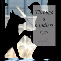 Through a handlers eyes. Podcast artwork