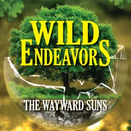 Wild Endeavors Podcast artwork