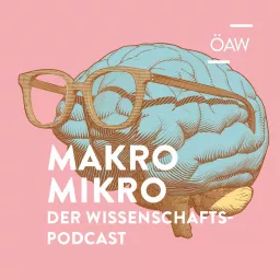 Makro Mikro Podcast artwork