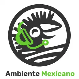 Ambiente Mexicano http://www.regalos-artesanales.com.mx Podcast artwork