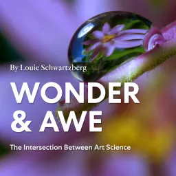 Wonder And Awe Podcast artwork