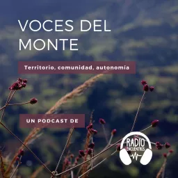 Voces del monte Podcast artwork