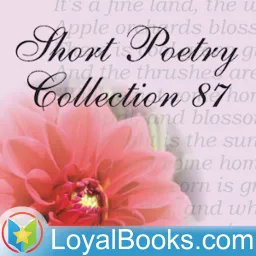 Short Poetry Collection 87 by Various