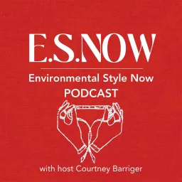 E.S.NOW Podcast artwork