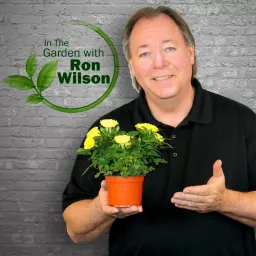 In The Garden with Ron Wilson Podcast artwork
