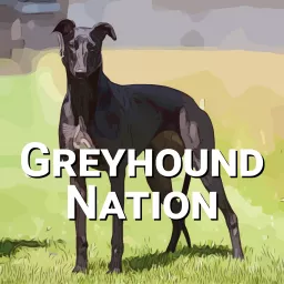 Greyhound Nation Podcast artwork