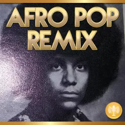 Afro Pop Remix Podcast artwork