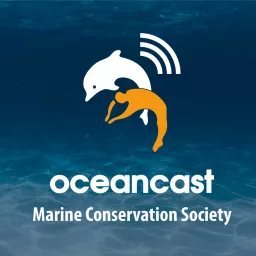 Oceancast Podcast artwork