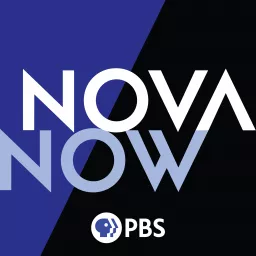 NOVA Now Podcast artwork