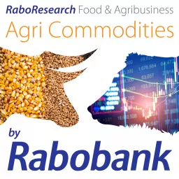 RaboResearch Agri Commodities Podcast artwork