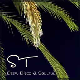 Deep, Disco & Soulful House by Steve Taylor