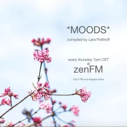 Moods by Lara Potthoff Podcast artwork