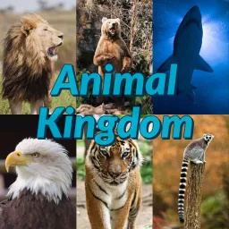 Animal Kingdom Podcast artwork