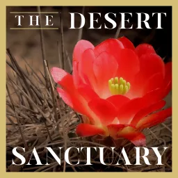 The Desert Sanctuary