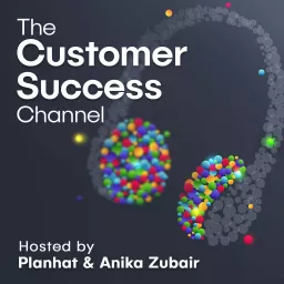 The Customer Success Channel