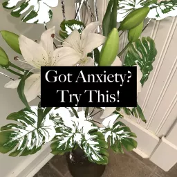Got Anxiety? Try This! Podcast artwork
