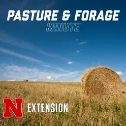 Pasture and Forage Minute Podcast artwork