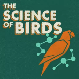 The Science of Birds Podcast artwork