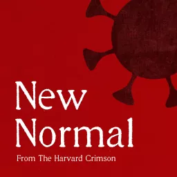 New Normal Podcast artwork