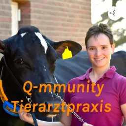 Q-mmunity Tierarztpraxis Podcast artwork