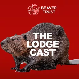 The Lodge Cast Podcast artwork