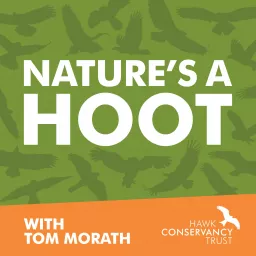 Nature's a Hoot Podcast artwork