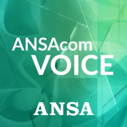 ANSAcom Voice