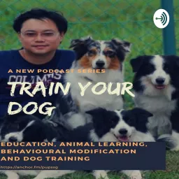 Train Your Dog