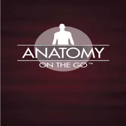 Anatomy On The Go Podcast artwork