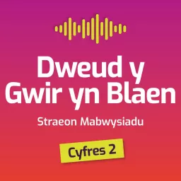Dweud y gwir yn blaen: straeon mabwysiadu Podcast artwork