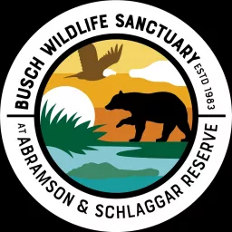 Inside Busch Wildlife Sanctuary Podcast artwork