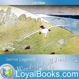 The Wonderful Adventures of Nils by Selma Lagerlöf