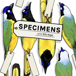 Specimens Podcast artwork