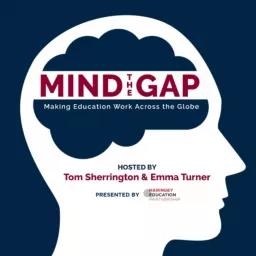 Mind the Gap: Making Education Work Across the Globe Podcast artwork