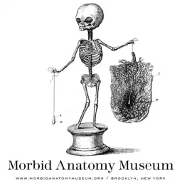The Morbid Anatomy Transmission Podcast artwork