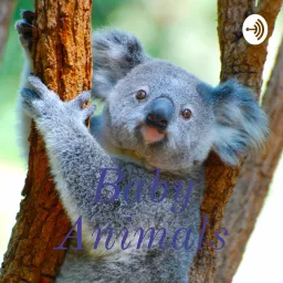 Baby Animals Podcast artwork