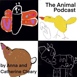 Animal Podcast artwork