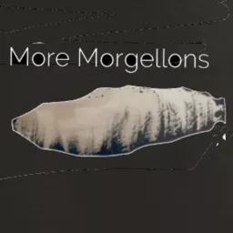 More Morgellons Podcast artwork