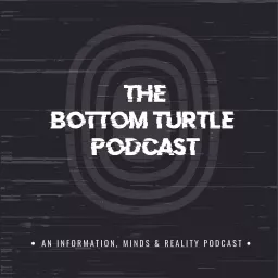 The Bottom Turtle Podcast artwork