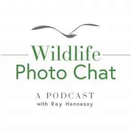 Wildlife Photo Chat Podcast artwork
