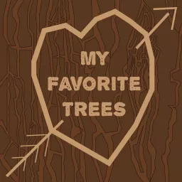 My Favorite Trees