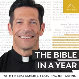 The Bible in a Year (with Fr. Mike Schmitz) Podcast artwork