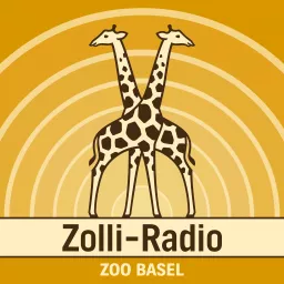 Zolli-Radio