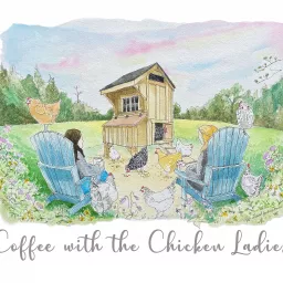 Coffee with the Chicken Ladies Podcast artwork