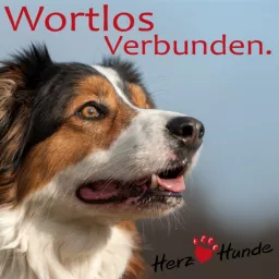Deine Gassi-Runde als Heldenreise > mit Deinem Hund wortlos verbunden! Podcast artwork