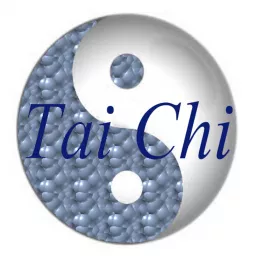 John Vihilidal's Tai Chi Podcast artwork